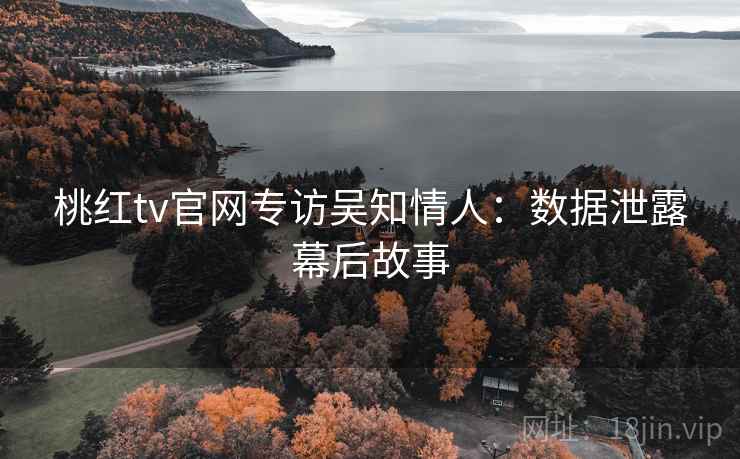 桃红tv官网专访吴知情人：数据泄露幕后故事